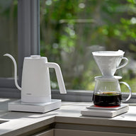 Electric Kettle Lyra