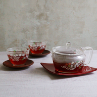 Tachikichi x HARIO - Heatproof Glass Teapot & Cups Set