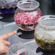 HARIO Set: Tea Dripper "Largo" 800ml TDR-8006T glass colours purple pink green tea herbs leaves
