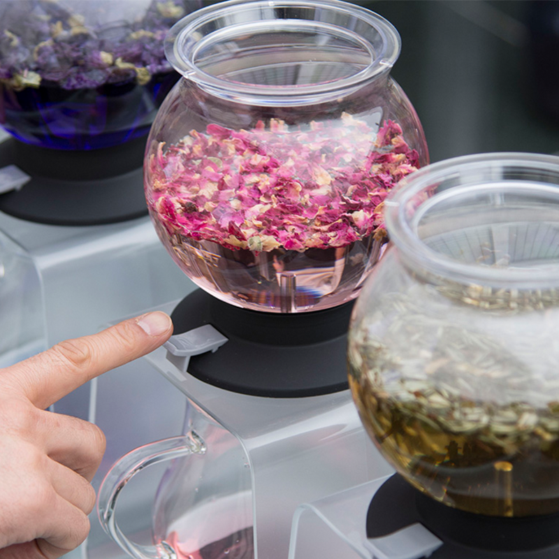 HARIO Set: Tea Dripper "Largo" 800ml TDR-8006T glass colours purple pink green tea herbs leaves